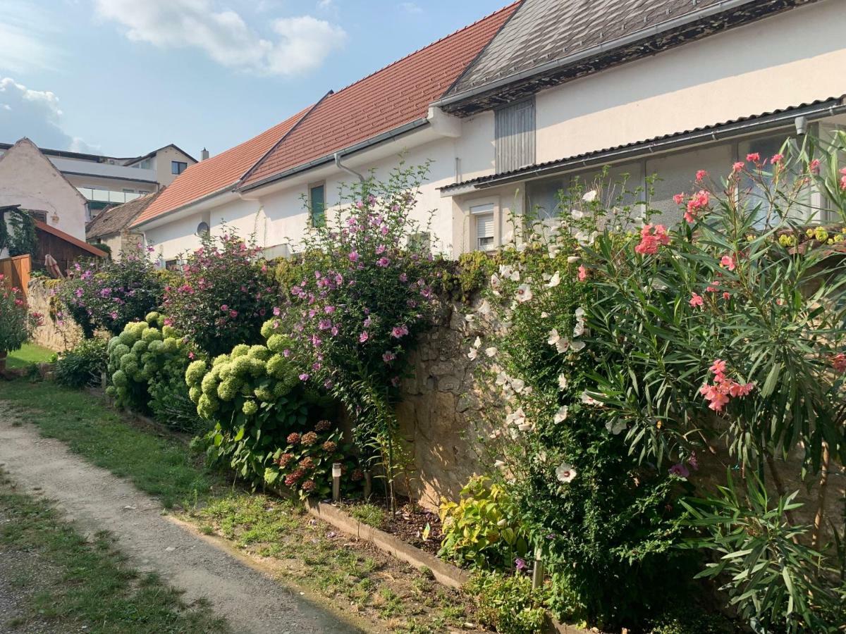 Ferienwohnungen Zum Briefmarkenhaus Mörbisch am See Esterno foto